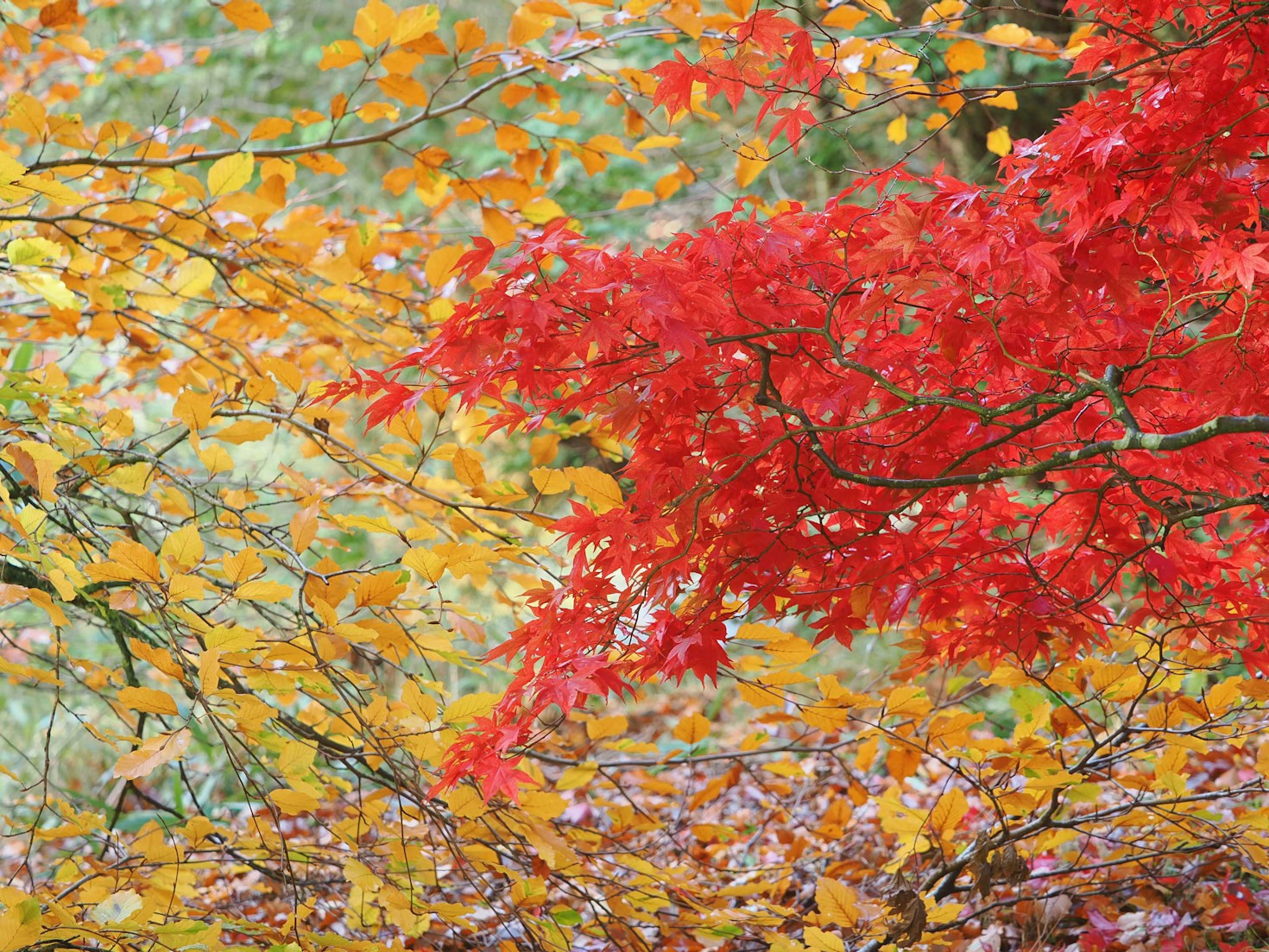 5 Wege, Freiheit in der Natur zu finden