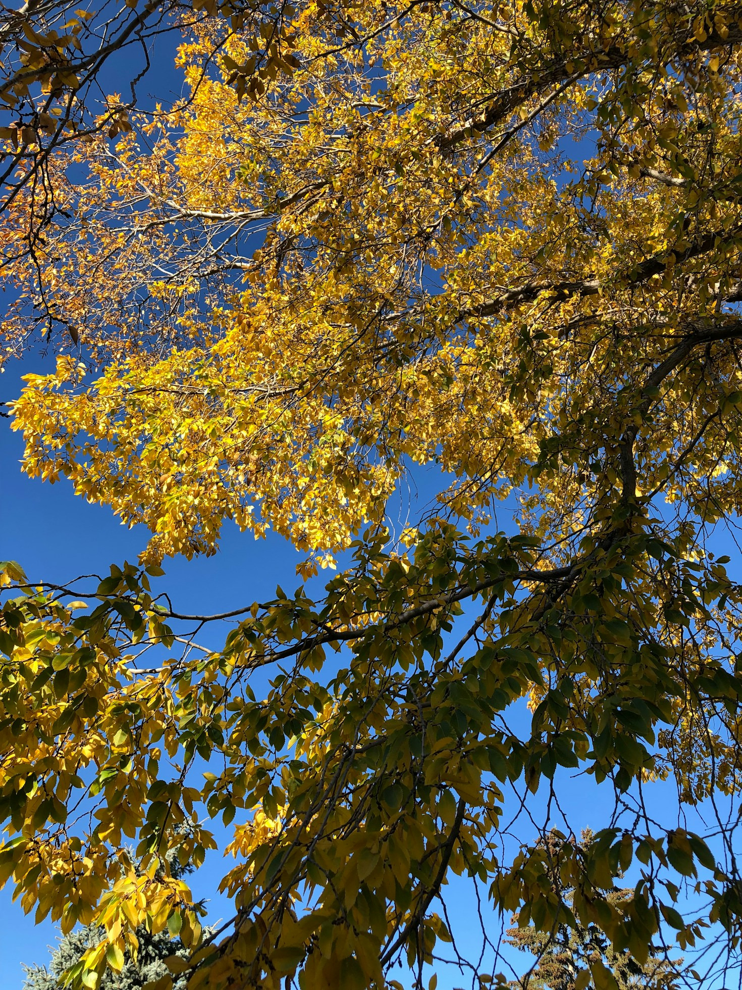 Wie Bewusstsein dein Leben transformieren kann