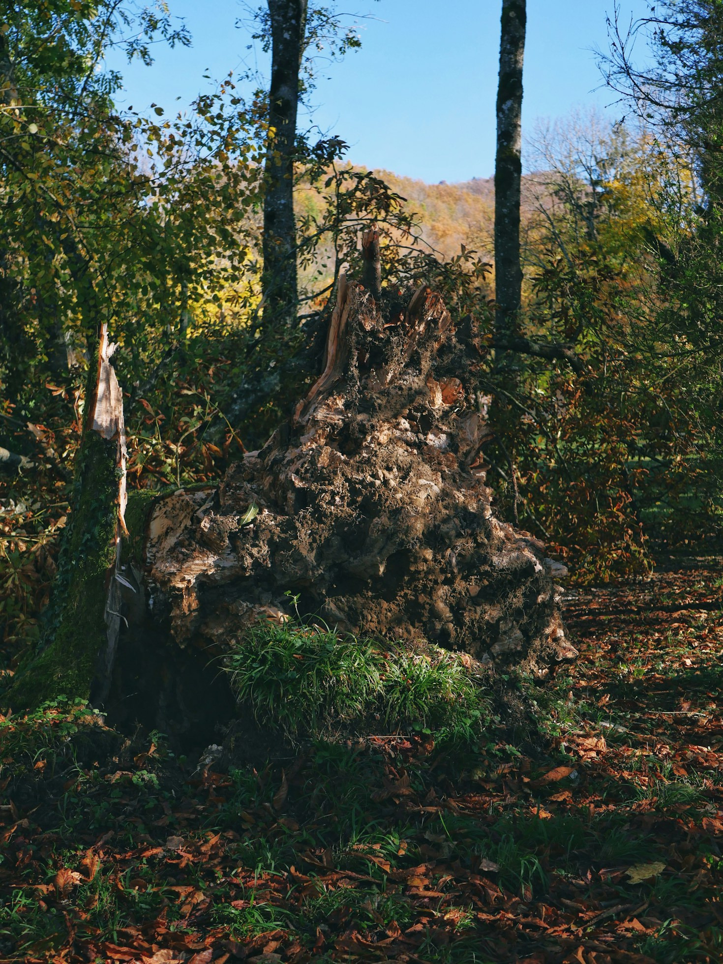 Der Weg zu einem bewussteren Selbst