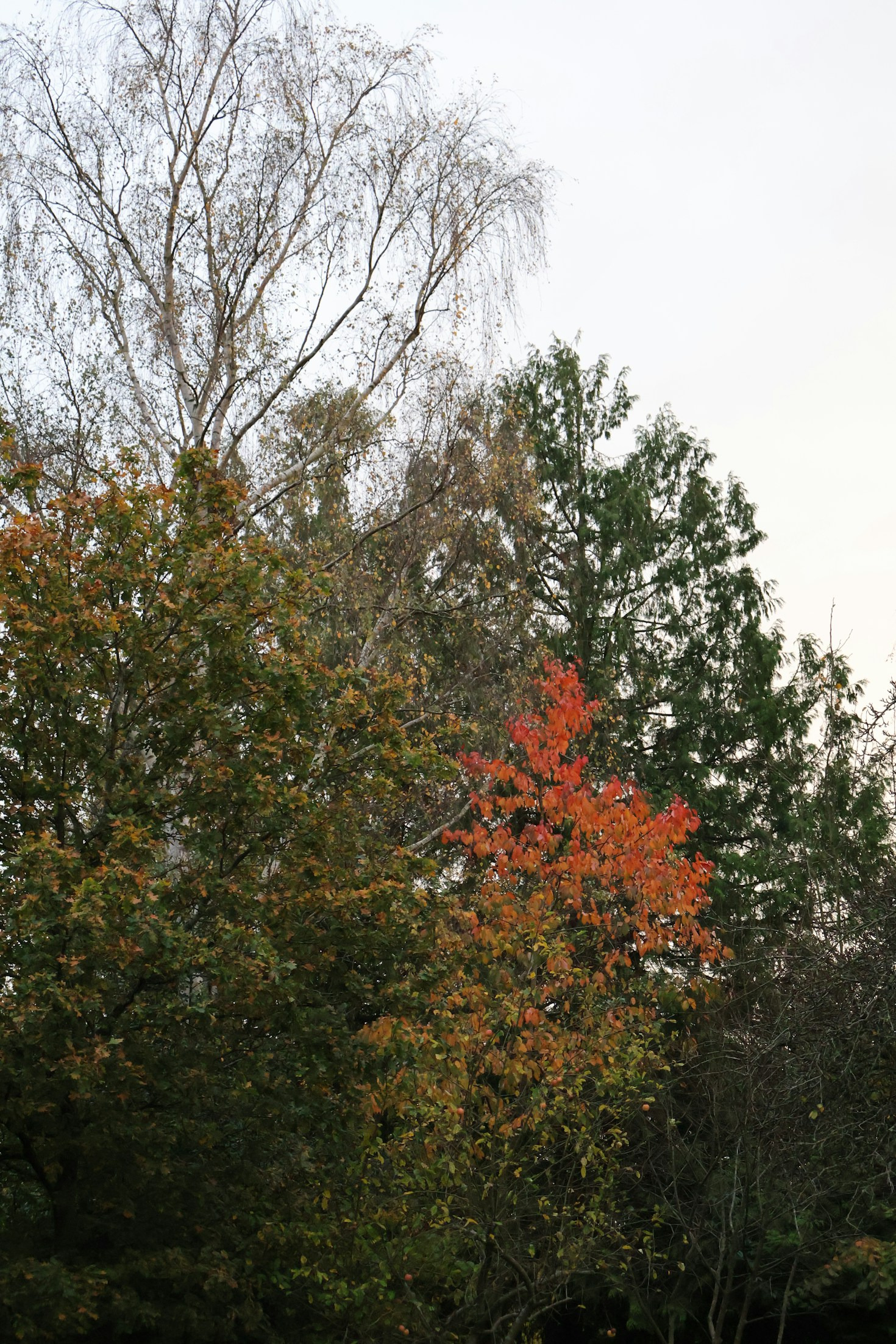 Verbinde dich mit deiner inneren Wildheit